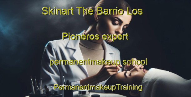 Skinart The Barrio Los Pioneros expert permanentmakeup school | PermanentmakeupTraining | PermanentmakeupClasses | SkinartTraining-Argentina