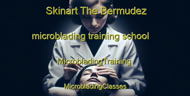 Skinart The Bermudez microblading training school | #MicrobladingTraining #MicrobladingClasses #SkinartTraining-Argentina