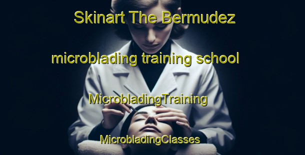 Skinart The Bermudez microblading training school | MicrobladingTraining | MicrobladingClasses | SkinartTraining-Argentina