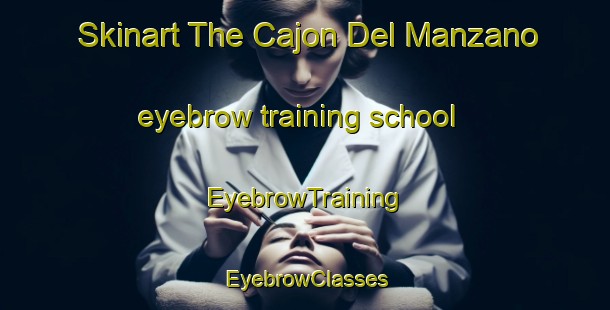 Skinart The Cajon Del Manzano eyebrow training school | EyebrowTraining | EyebrowClasses | SkinartTraining-Argentina