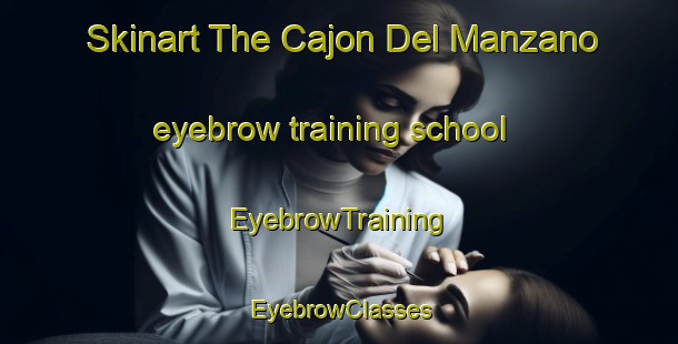 Skinart The Cajon Del Manzano eyebrow training school | EyebrowTraining | EyebrowClasses | SkinartTraining-Argentina