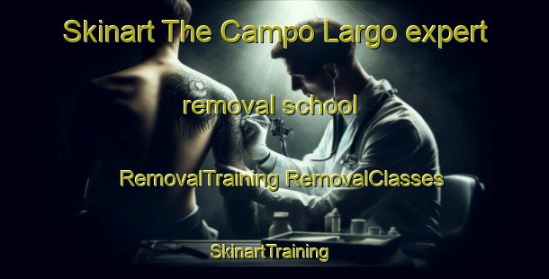 Skinart The Campo Largo expert removal school | #RemovalTraining #RemovalClasses #SkinartTraining-Argentina