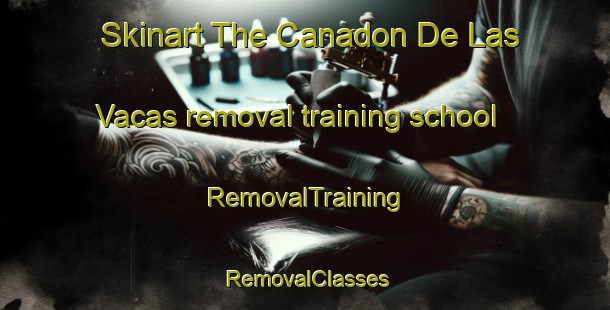 Skinart The Canadon De Las Vacas removal training school | RemovalTraining | RemovalClasses | SkinartTraining-Argentina