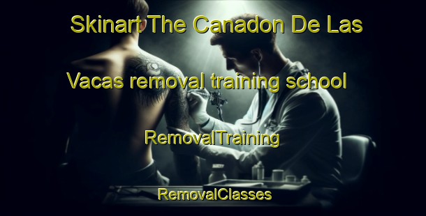 Skinart The Canadon De Las Vacas removal training school | RemovalTraining | RemovalClasses | SkinartTraining-Argentina