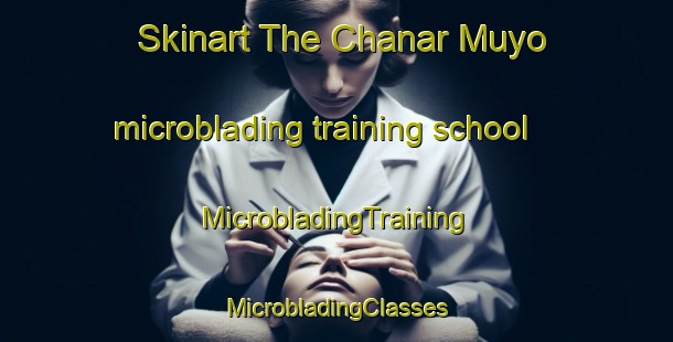 Skinart The Chanar Muyo microblading training school | #MicrobladingTraining #MicrobladingClasses #SkinartTraining-Argentina