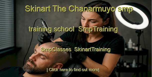 Skinart The Chanarmuyo smp training school | SmpTraining | SmpClasses | SkinartTraining-Argentina
