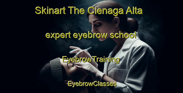 Skinart The Cienaga Alta expert eyebrow school | EyebrowTraining | EyebrowClasses | SkinartTraining-Argentina