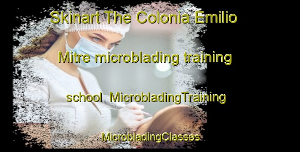 Skinart The Colonia Emilio Mitre microblading training school | #MicrobladingTraining #MicrobladingClasses #SkinartTraining-Argentina