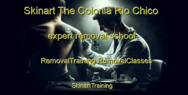 Skinart The Colonia Rio Chico expert removal school | #RemovalTraining #RemovalClasses #SkinartTraining-Argentina