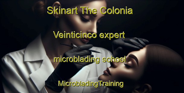 Skinart The Colonia Veinticinco expert microblading school | #MicrobladingTraining #MicrobladingClasses #SkinartTraining-Argentina