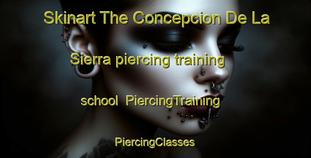 Skinart The Concepcion De La Sierra piercing training school | #PiercingTraining #PiercingClasses #SkinartTraining-Argentina