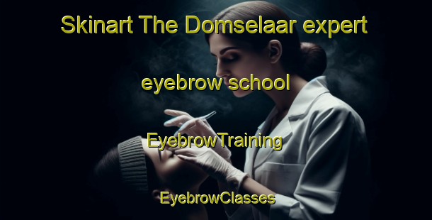 Skinart The Domselaar expert eyebrow school | EyebrowTraining | EyebrowClasses | SkinartTraining-Argentina