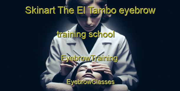 Skinart The El Tambo eyebrow training school | EyebrowTraining | EyebrowClasses | SkinartTraining-Argentina