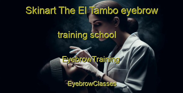 Skinart The El Tambo eyebrow training school | EyebrowTraining | EyebrowClasses | SkinartTraining-Argentina