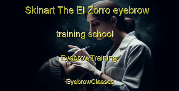 Skinart The El Zorro eyebrow training school | EyebrowTraining | EyebrowClasses | SkinartTraining-Argentina