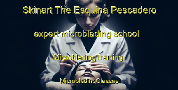 Skinart The Esquina Pescadero expert microblading school | #MicrobladingTraining #MicrobladingClasses #SkinartTraining-Argentina