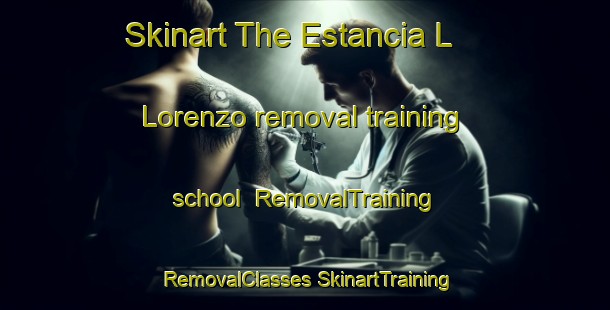 Skinart The Estancia L  Lorenzo removal training school | #RemovalTraining #RemovalClasses #SkinartTraining-Argentina