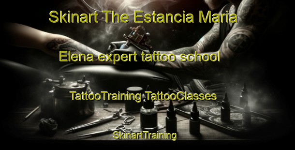 Skinart The Estancia Maria Elena expert tattoo school | #TattooTraining #TattooClasses #SkinartTraining-Argentina