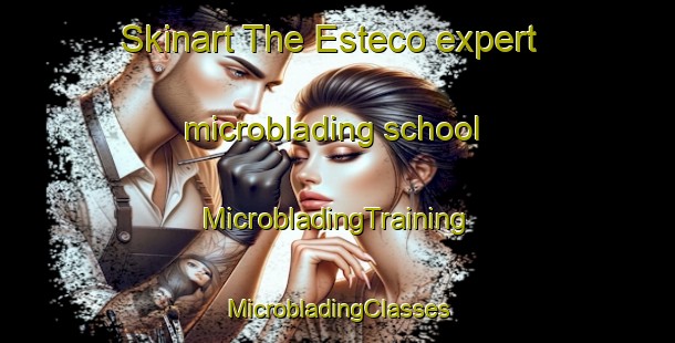 Skinart The Esteco expert microblading school | #MicrobladingTraining #MicrobladingClasses #SkinartTraining-Argentina