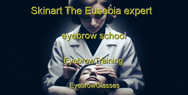 Skinart The Eusebia expert eyebrow school | EyebrowTraining | EyebrowClasses | SkinartTraining-Argentina