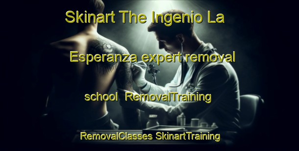 Skinart The Ingenio La Esperanza expert removal school | #RemovalTraining #RemovalClasses #SkinartTraining-Argentina