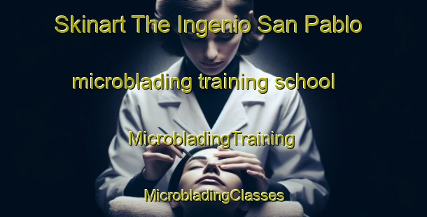 Skinart The Ingenio San Pablo microblading training school | #MicrobladingTraining #MicrobladingClasses #SkinartTraining-Argentina