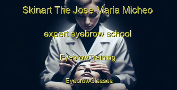 Skinart The Jose Maria Micheo expert eyebrow school | EyebrowTraining | EyebrowClasses | SkinartTraining-Argentina