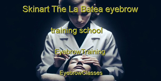 Skinart The La Batea eyebrow training school | EyebrowTraining | EyebrowClasses | SkinartTraining-Argentina