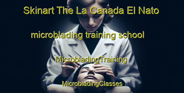 Skinart The La Canada El Nato microblading training school | #MicrobladingTraining #MicrobladingClasses #SkinartTraining-Argentina