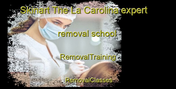 Skinart The La Carolina expert removal school | RemovalTraining | RemovalClasses | SkinartTraining-Argentina