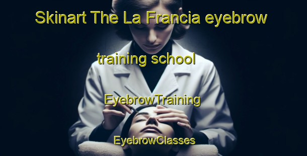 Skinart The La Francia eyebrow training school | EyebrowTraining | EyebrowClasses | SkinartTraining-Argentina