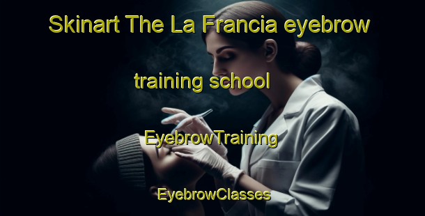 Skinart The La Francia eyebrow training school | EyebrowTraining | EyebrowClasses | SkinartTraining-Argentina