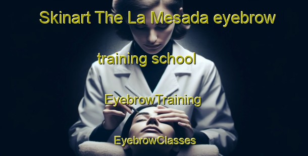 Skinart The La Mesada eyebrow training school | EyebrowTraining | EyebrowClasses | SkinartTraining-Argentina
