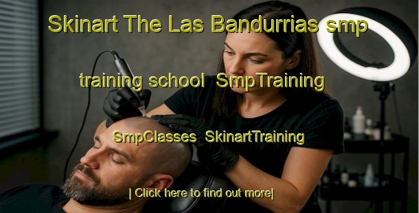 Skinart The Las Bandurrias smp training school | SmpTraining | SmpClasses | SkinartTraining-Argentina