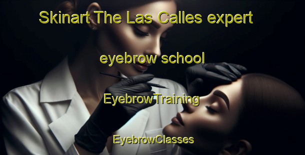 Skinart The Las Calles expert eyebrow school | EyebrowTraining | EyebrowClasses | SkinartTraining-Argentina