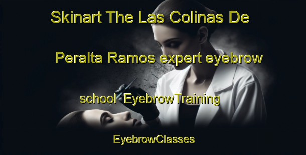 Skinart The Las Colinas De Peralta Ramos expert eyebrow school | EyebrowTraining | EyebrowClasses | SkinartTraining-Argentina