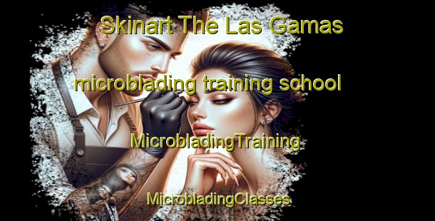 Skinart The Las Gamas microblading training school | #MicrobladingTraining #MicrobladingClasses #SkinartTraining-Argentina