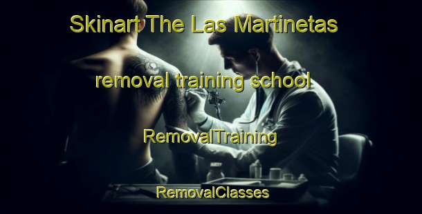 Skinart The Las Martinetas removal training school | RemovalTraining | RemovalClasses | SkinartTraining-Argentina