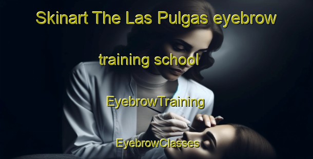 Skinart The Las Pulgas eyebrow training school | EyebrowTraining | EyebrowClasses | SkinartTraining-Argentina
