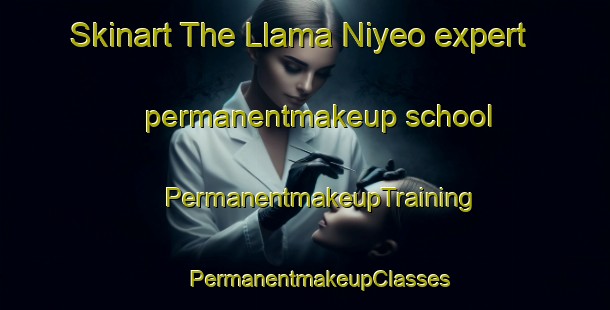 Skinart The Llama Niyeo expert permanentmakeup school | #PermanentmakeupTraining #PermanentmakeupClasses #SkinartTraining-Argentina