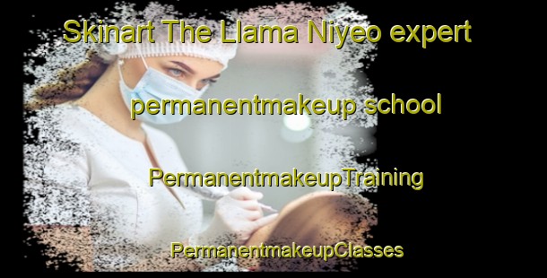 Skinart The Llama Niyeo expert permanentmakeup school | #PermanentmakeupTraining #PermanentmakeupClasses #SkinartTraining-Argentina