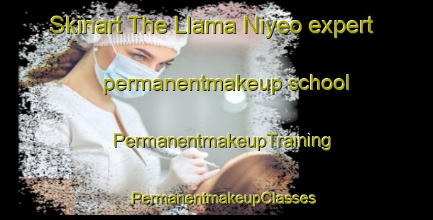Skinart The Llama Niyeo expert permanentmakeup school | PermanentmakeupTraining | PermanentmakeupClasses | SkinartTraining-Argentina
