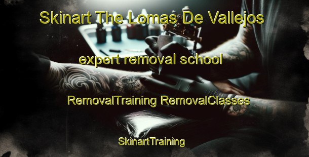 Skinart The Lomas De Vallejos expert removal school | #RemovalTraining #RemovalClasses #SkinartTraining-Argentina