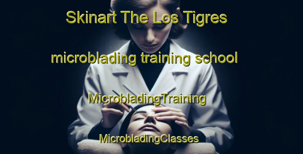 Skinart The Los Tigres microblading training school | MicrobladingTraining | MicrobladingClasses | SkinartTraining-Argentina