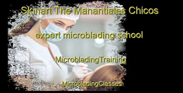 Skinart The Manantiales Chicos expert microblading school | #MicrobladingTraining #MicrobladingClasses #SkinartTraining-Argentina