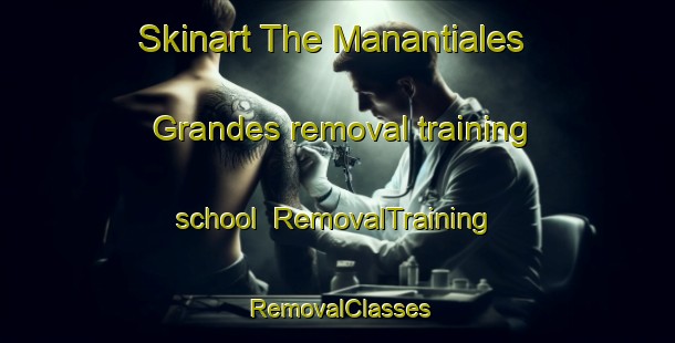 Skinart The Manantiales Grandes removal training school | RemovalTraining | RemovalClasses | SkinartTraining-Argentina