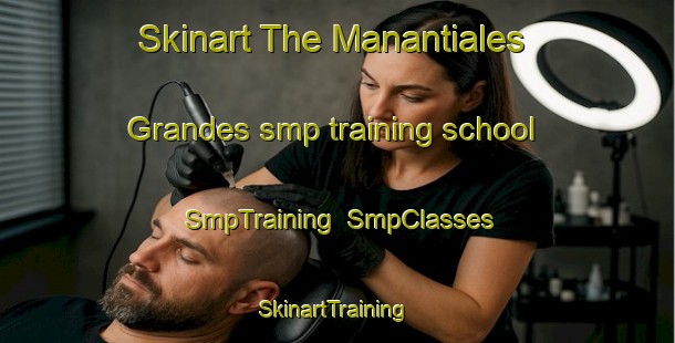 Skinart The Manantiales Grandes smp training school | SmpTraining | SmpClasses | SkinartTraining-Argentina