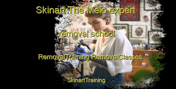 Skinart The Melo expert removal school | #RemovalTraining #RemovalClasses #SkinartTraining-Argentina