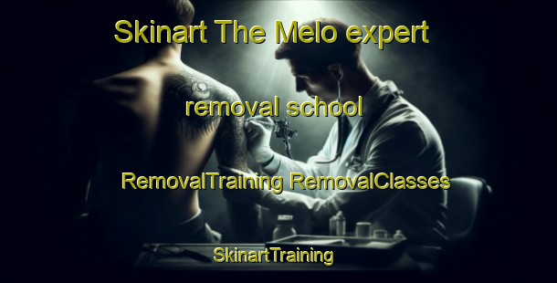 Skinart The Melo expert removal school | #RemovalTraining #RemovalClasses #SkinartTraining-Argentina