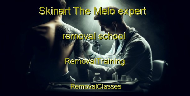 Skinart The Melo expert removal school | RemovalTraining | RemovalClasses | SkinartTraining-Argentina